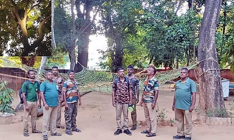 மணிமுத்தாறு ஊருக்குள் கரடி புகுந்ததால் பரபரப்பு