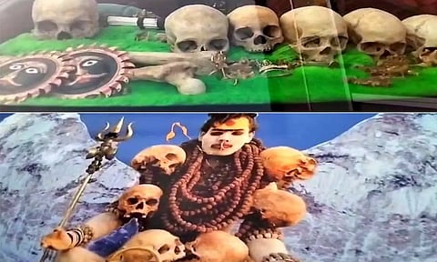 கவலையை மறக்க தவளை விஷம்:திருவண்ணாமலையில் போதை திருவிழா