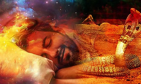 Snake Dream Meaning: பாம்பு கனவில் வந்தால் நல்லதா? அதற்கு செல்ல வேண்டிய கோவில்கள்...