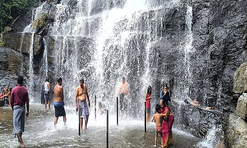 மேகமலை அருவியில் சுற்றுலாப் பயணிகள் உற்சாக குளியல்