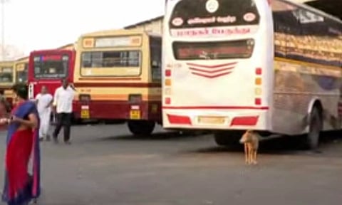 bus