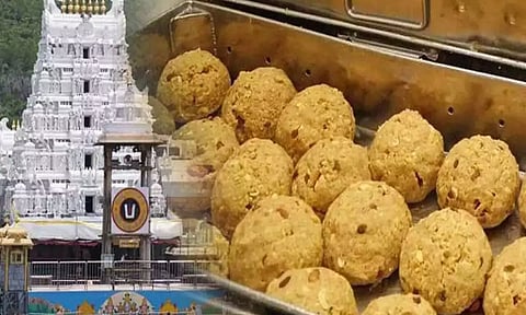 திருப்பதிக்கு கலப்பட நெய் வினியோகம்: தேவஸ்தானம் குற்றச்சாட்டு