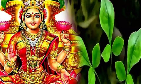 ஸ்ரீலட்சுமியின் கையிலிருந்து தோன்றிய வில்வம்
