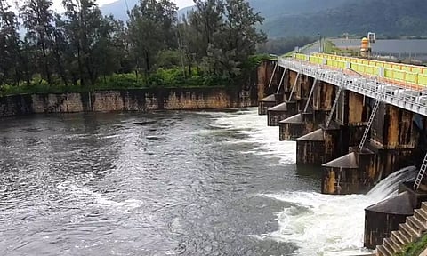 மாஞ்சோலை வனப்பகுதியில் சாரல் மழை: கடனா அணை நீர்மட்டம் 78 அடியை எட்டியது