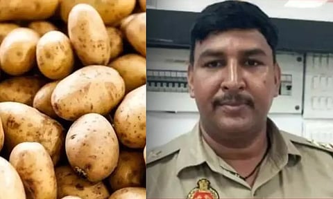 potato bribe