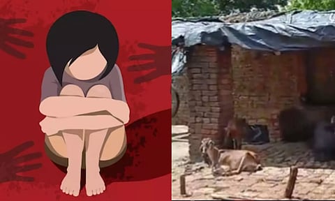 6 வயது சிறுமியையும் ஆட்டையும் பலாத்காரம் செய்த அரசு ஊழியர்.. வீடியோ எடுத்த பக்கத்து வீட்டு நபர்