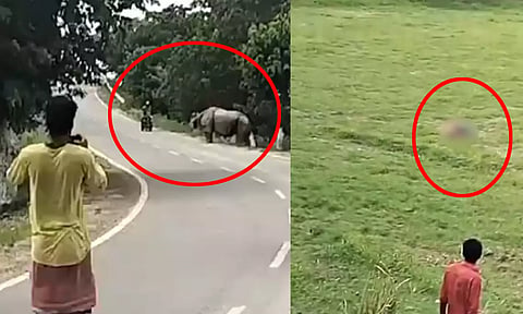 Rhino Near Assam's Pobitora Wildlife Sanctuary