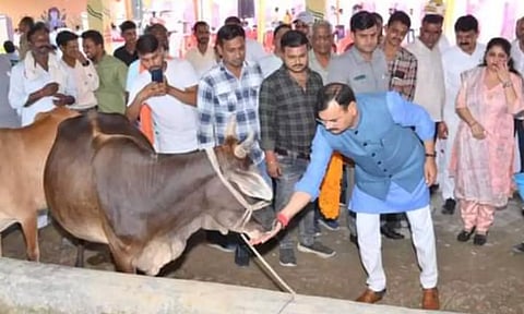 மாட்டு கொட்டகையில் படுத்தால் புற்றுநோய் குணமாகும்: உ.பி. பா.ஜ.க. அமைச்சரின் அபூர்வ கண்டுபிடிப்பு