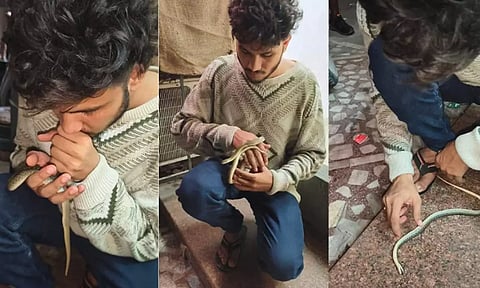 Gujarat Man Saves Snake's Life