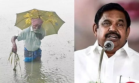 உரிய நிவாரணம் வழங்குக- அரசுக்கு எடப்பாடி பழனிசாமி வலியுறுத்தல்