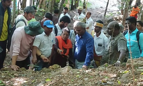 திருவண்ணாமலையில் குவியும் பக்தர்கள்- மகா தீப மலையில் வல்லுனர் குழு ஆய்வு