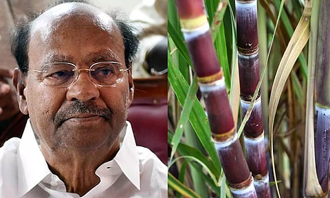 கரும்பின் விலையை டன்னுக்கு ரூ.950 குறைத்து விவசாயிகள் வயிற்றில் அடிப்பது தான் திராவிட மாடலா? - ராமதாஸ்