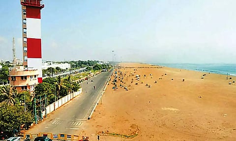 மெரினா சர்வீஸ் சாலையில் ஆயிரம் புன்னை மரங்கள் நட முடிவு- மாநகராட்சி அதிகாரி தகவல்
