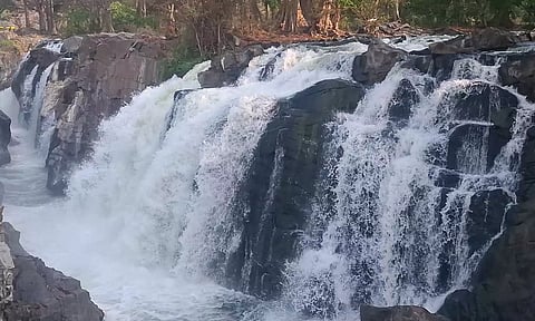ஒகேனக்கல்லுக்கு நீர்வரத்து 5 ஆயிரம் கனஅடியாக நீடிப்பு