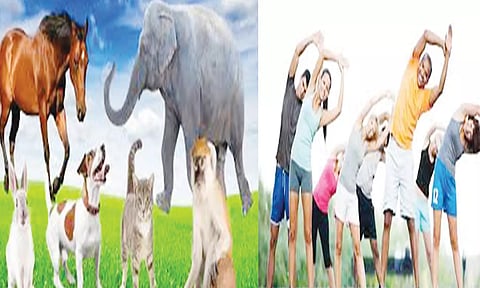 பெருமை பேசுவதை தவிர்த்திடுங்கள்!