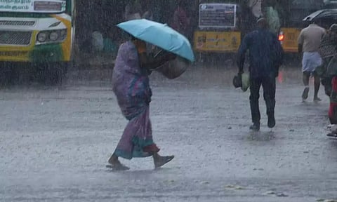 நீலகிரியில் மீண்டும் சூறாவளி காற்றுடன் மழை - லவ்டேல் பகுதியில் மரம் விழுந்ததால் போக்குவரத்து பாதிப்பு