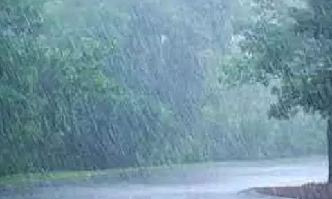 ஏற்காட்டில் தொடரும் சாரல் மழையால் பனி மூட்டம் - கடும் குளிர்