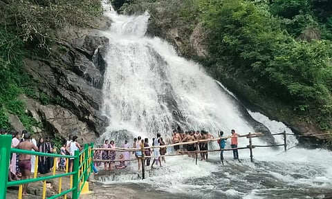 10 நாட்களுக்கு பிறகு திறப்பு - பொள்ளாச்சி கவியருவியில் குவிந்த சுற்றுலாப் பயணிகள்