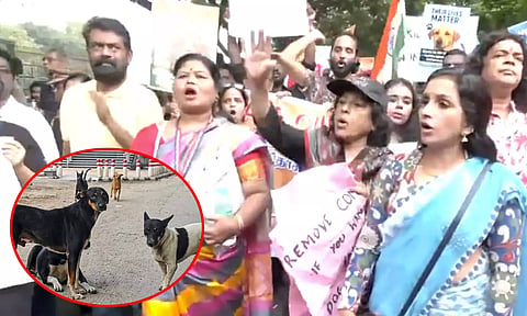 VIDEO: தெருநாய்களுக்கு ஆதரவாக திருச்சியில் விலங்கு நல ஆர்வலர்கள் பேரணி