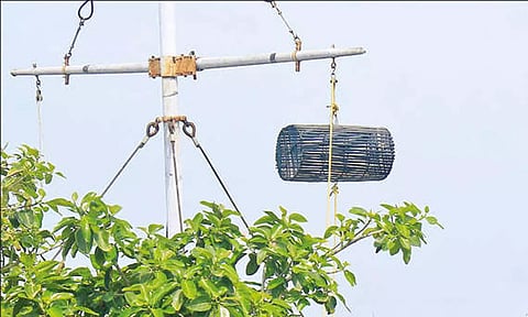 9 துறைமுகங்களில் 1-ம் எண் புயல் எச்சரிக்கை கூண்டு ஏற்றம்