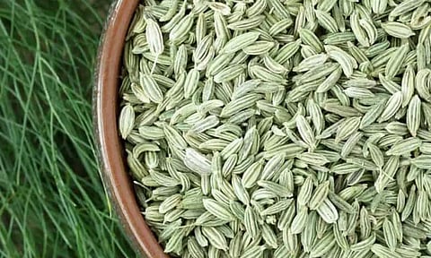 வாயு தொல்லைக்கு மருந்தாகும் பெருஞ்சீரகம்