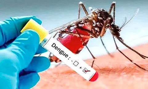 சென்னையில் வைரஸ் மற்றும் டெங்கு காய்ச்சல் பரவுகிறது- டாக்டர்கள் எச்சரிக்கை
