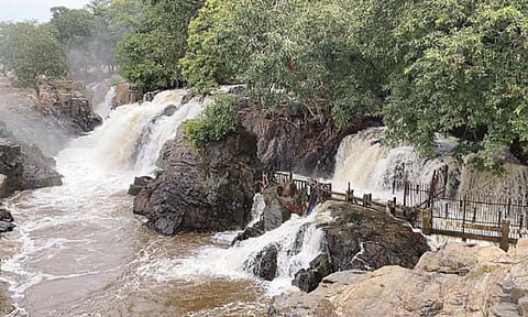 காவிரி நீர்ப்பிடிப்பு பகுதிகளில் கனமழை - ஒகேனக்கல்லுக்கு நீர்வரத்து 65 ஆயிரம் கனஅடியாக அதிகரிப்பு