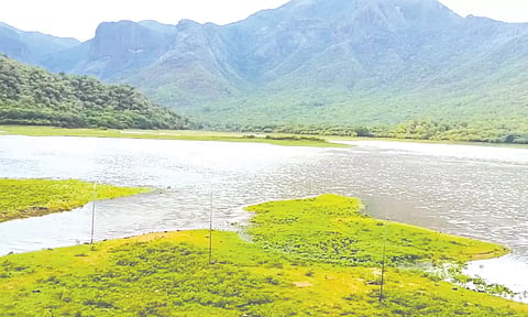 நீர்வரத்து உயர்ந்து வரும் பிளவக்கல் பெரியாறு அணையை காணலாம்.