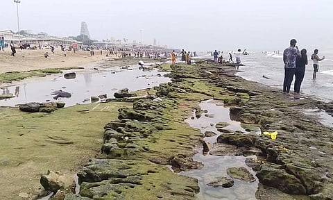 திருச்செந்தூரில் இன்று கடல் 100 அடி உள்வாங்கியது