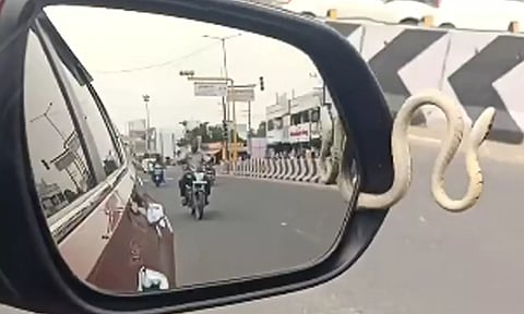 VIDEO: எனக்கும் குளிரும் இல்ல... கார் கண்ணாடியில் இருந்து பாய்ந்த பாம்பு- அதிர்ச்சியில் உறைந்த டிரைவர்