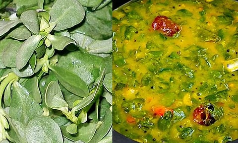 மண்ணின் பொக்கிஷம் "பருப்பு கீரை"