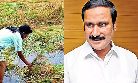 மழையால் பாதிக்கப்பட்ட பயிர்களுக்கு ஏமாற்றாமல் உடனடியாக இழப்பீடு வழங்க வேண்டும்- அன்புமணி