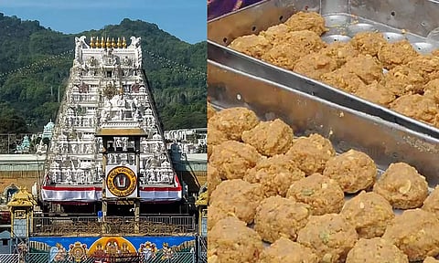 ஏழுமலையான் பக்தர்களின் அமோக ஆதரவு: 2025-ல் 13.52 கோடி லட்டுகள் விற்பனை