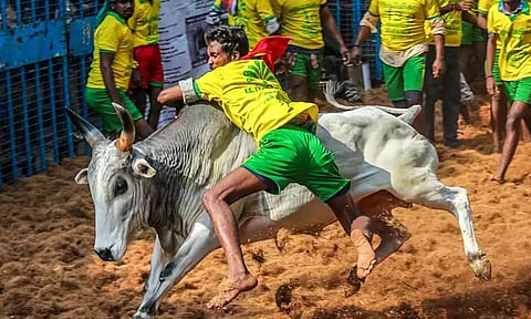 பொங்கல் பண்டிகை - மதுரையில் நடைபெறும் ஜல்லிக்கட்டுக்கான தேதிகள் அறிவிப்பு
