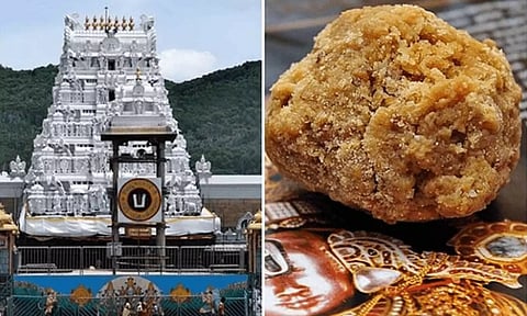 சந்திரபாபு நாயுடுவின் குற்றச்சாட்டு பொய்யானது: திருப்பதி லட்டுவில் விலங்கு கொழுப்பு இல்லை - சிபிஐ