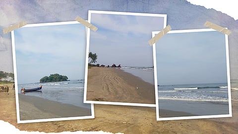 അറബിക്കടലിലെ 'പച്ചത്തുരുത്ത്'!