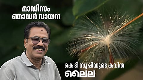 ലൈല