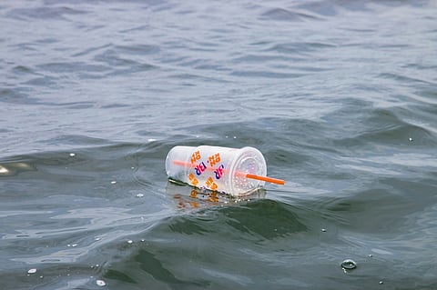 Plastic Ban