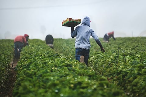 Underpaying Migrant Workers