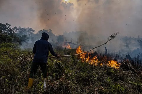 കഴിഞ്ഞ 7 പതിറ്റാണ്ടിലെ ഏറ്റവും ശക്തമായ 'എൽ നിനോ' വരുന്നു; വരൾച്ച മുന്നറിയിപ്പുമായി ഓസ്ട്രേലിയ