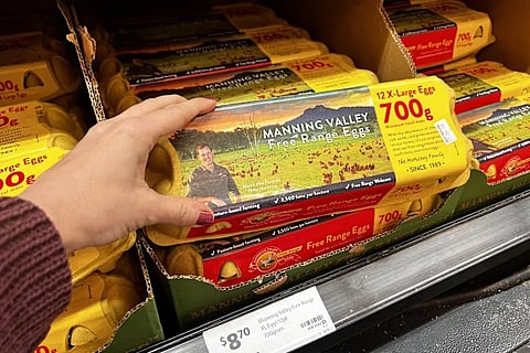 ഓസ്ട്രേലിയയിൽ കോഴിയിറച്ചിയുടെയും മുട്ടയുടെയും വില ഉയരാൻ സാധ്യത