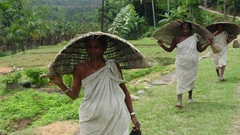 പട്ടികജാതി വികസനത്തിന് 2729 കോടി രൂപ അനുവദിച്ച് ധനമന്ത്രി