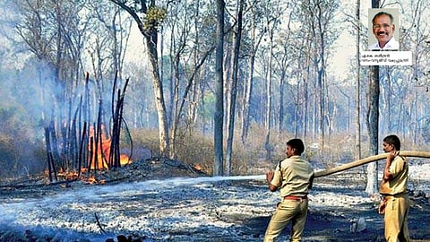 കാട്ടുതീ: പ്രതിരോധ പ്രവർത്തനങ്ങൾ ഊർജിതമാക്കി