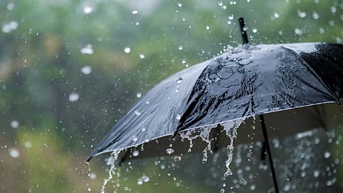 വേനൽമഴ കൂടുതൽ ലഭിച്ചത് പത്തനംതിട്ടയിൽ