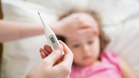 reduction in dengue and malaria cases in Mumbai this year BMC says preventive measures