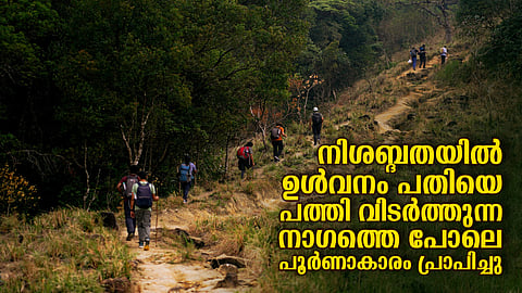 Agasthyarkoodam trekking