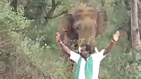 ആനയ്ക്കു മുന്നിൽ മുരുഗേശന്റെ അഭ്യാസം
