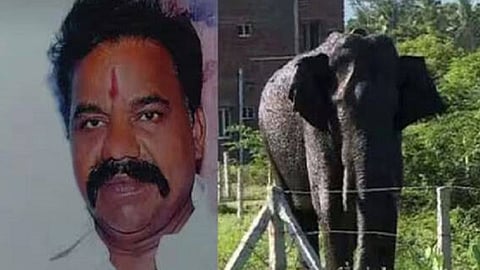 അരിക്കൊമ്പന്റെ പരാക്രമം: കമ്പത്ത് പരിക്കേറ്റയാൾ മരിച്ചു