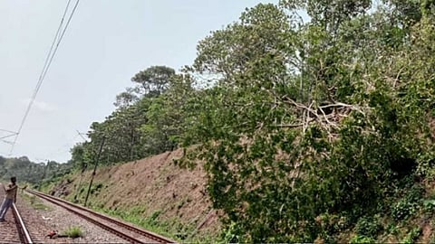 കടുത്തുരുത്തിയിൽ മരം വീണ് റെയിൽ ഗതാഗതം തടസപ്പെട്ടു