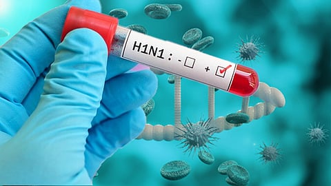 h1n1 death in idukki